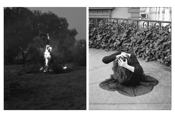 Tarentisme — Carnets #1 et #2